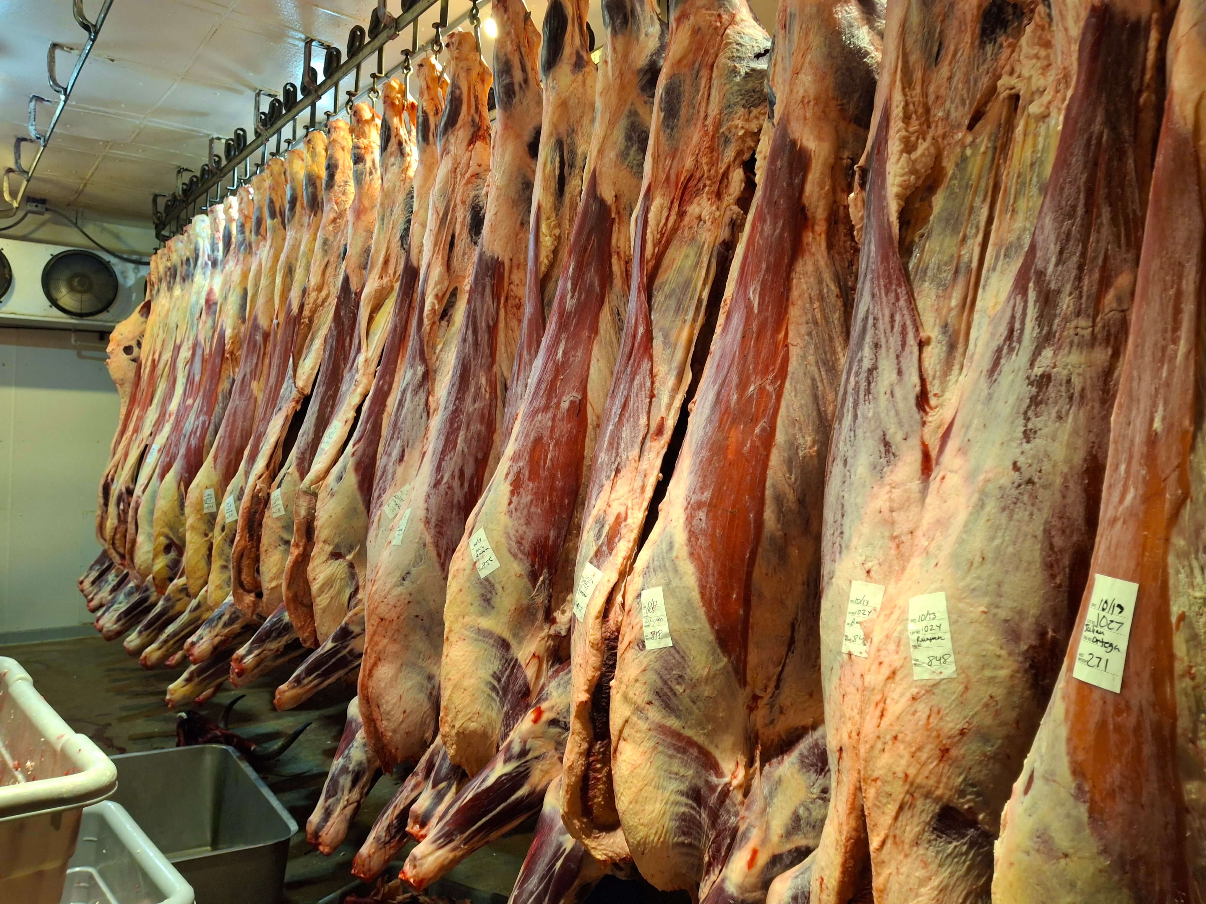 Fort Sumner Processing meat